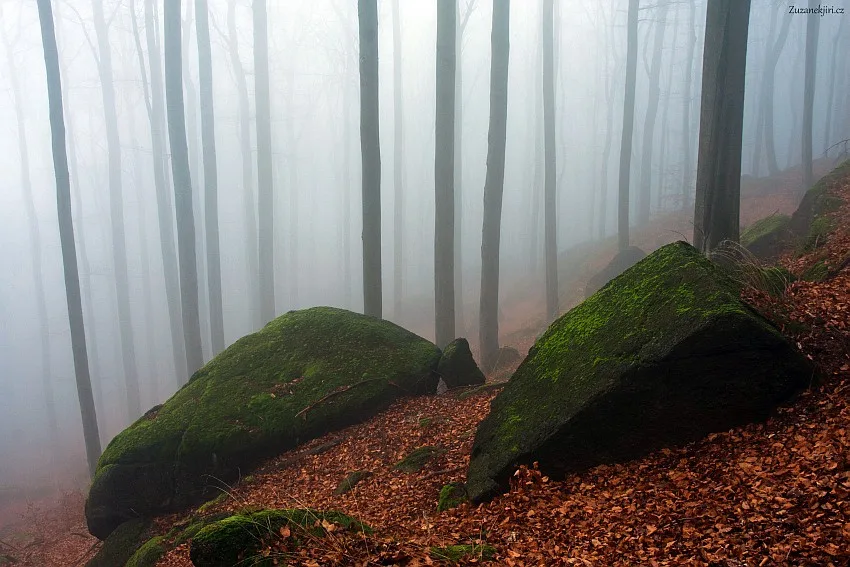 Ilustrační foto: Fotoaparat.cz/Jiří Zuzánek