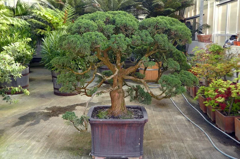 Ilustrační foto: Botanická zahrada Liberec