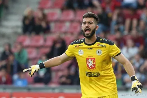 Tomáš Koubek
