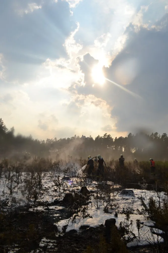 Požár lesa u Bezdězu se podařilo v noci uhasit. Foto: HZSLK