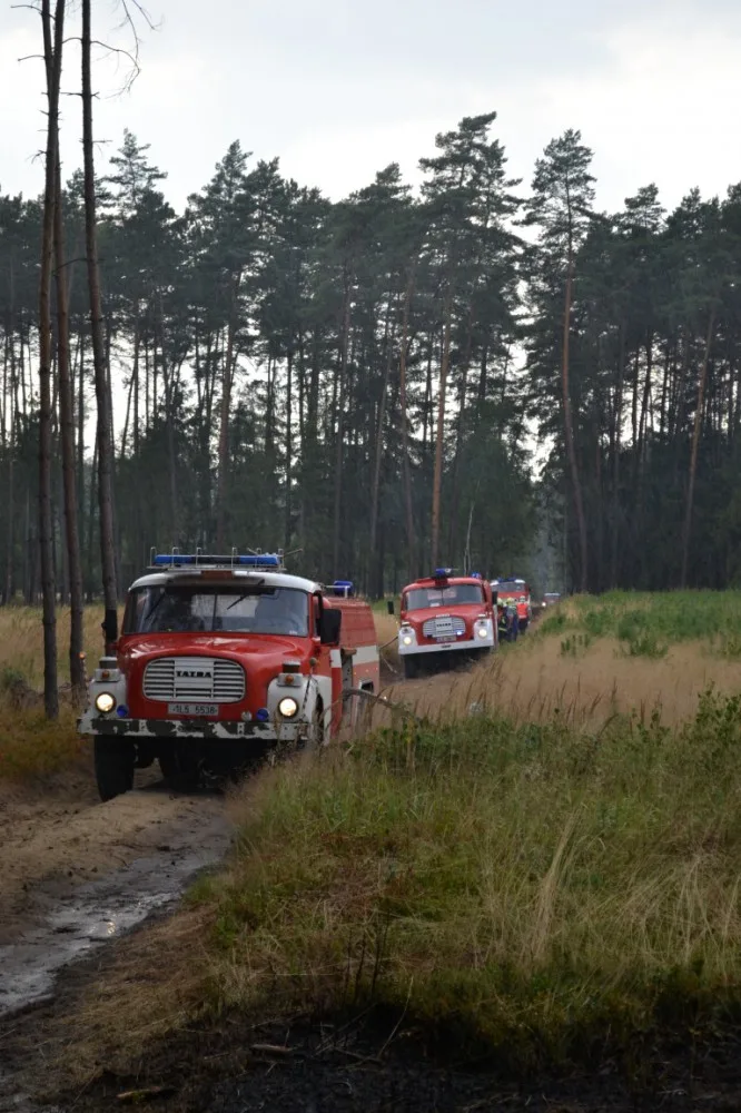 Požár lesa u Bezdězu se podařilo v noci uhasit. Foto: HZSLK