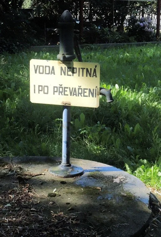 Ilustrační foto