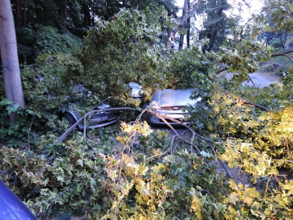 Kmen stromu zdemoloval čtyři auta v Rochlici. Foto: HZSLK