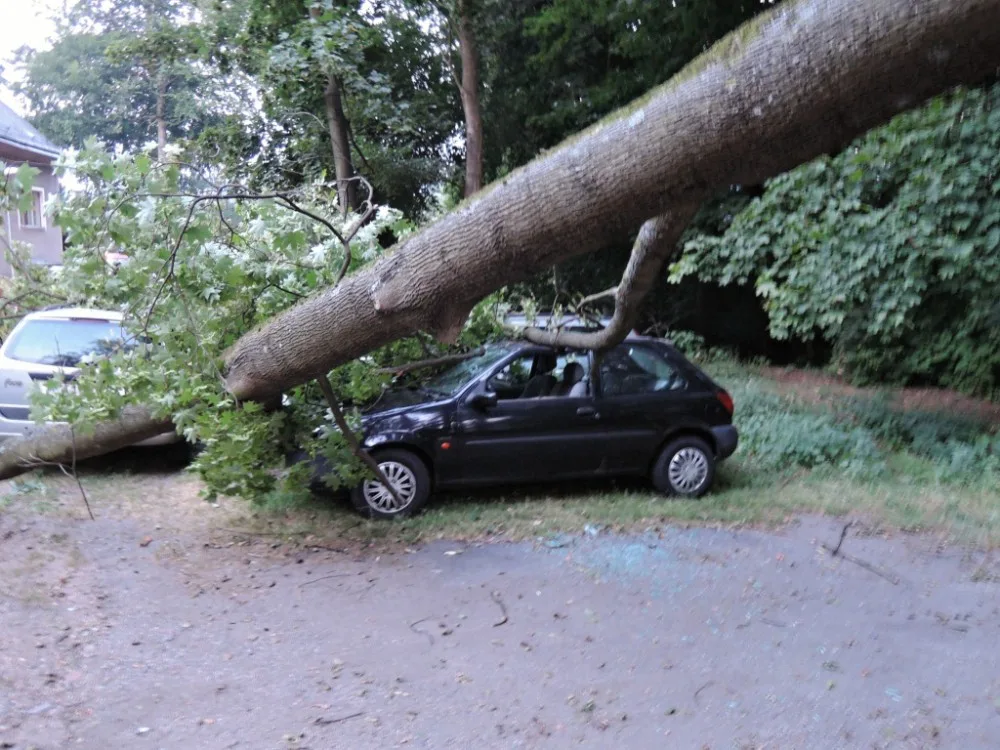 Kmen stromu zdemoloval čtyři auta v Rochlici. Foto: HZSLK