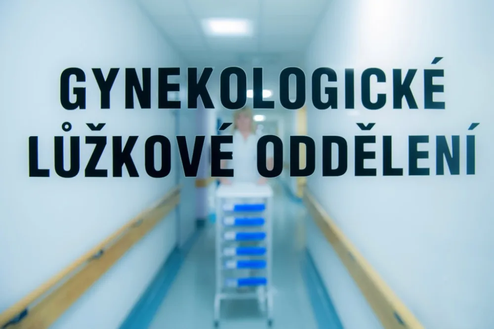 Ilustrační foto:KNL