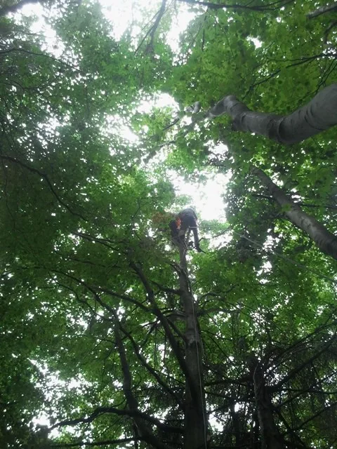 Krátký let paraglidisty se šťastným koncem. Foto: HZSLK