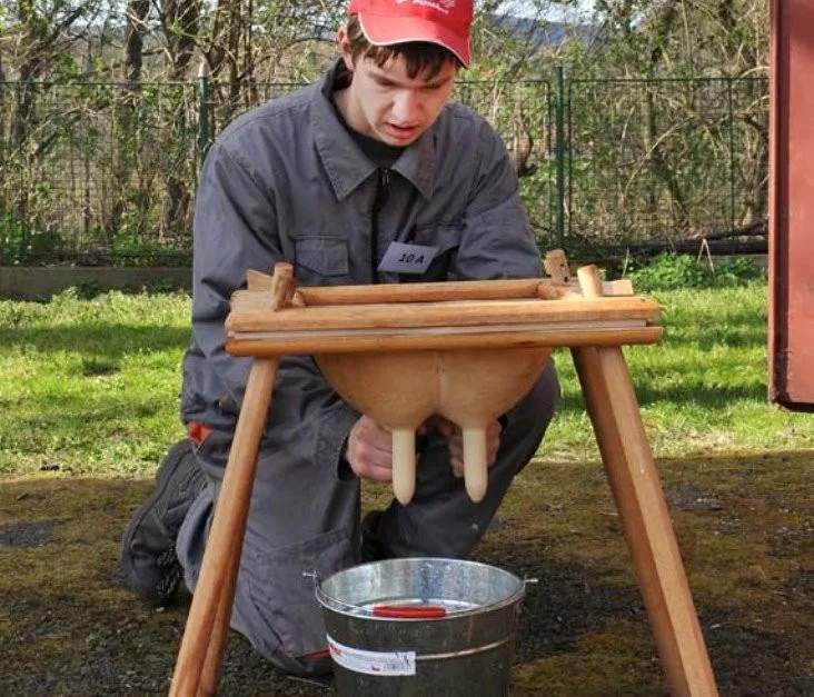 Ilustrační foto