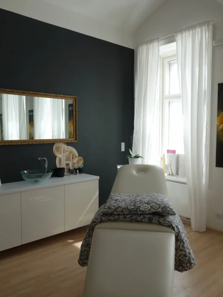 Stavba roku - Rekonstrukce domu U Páva
