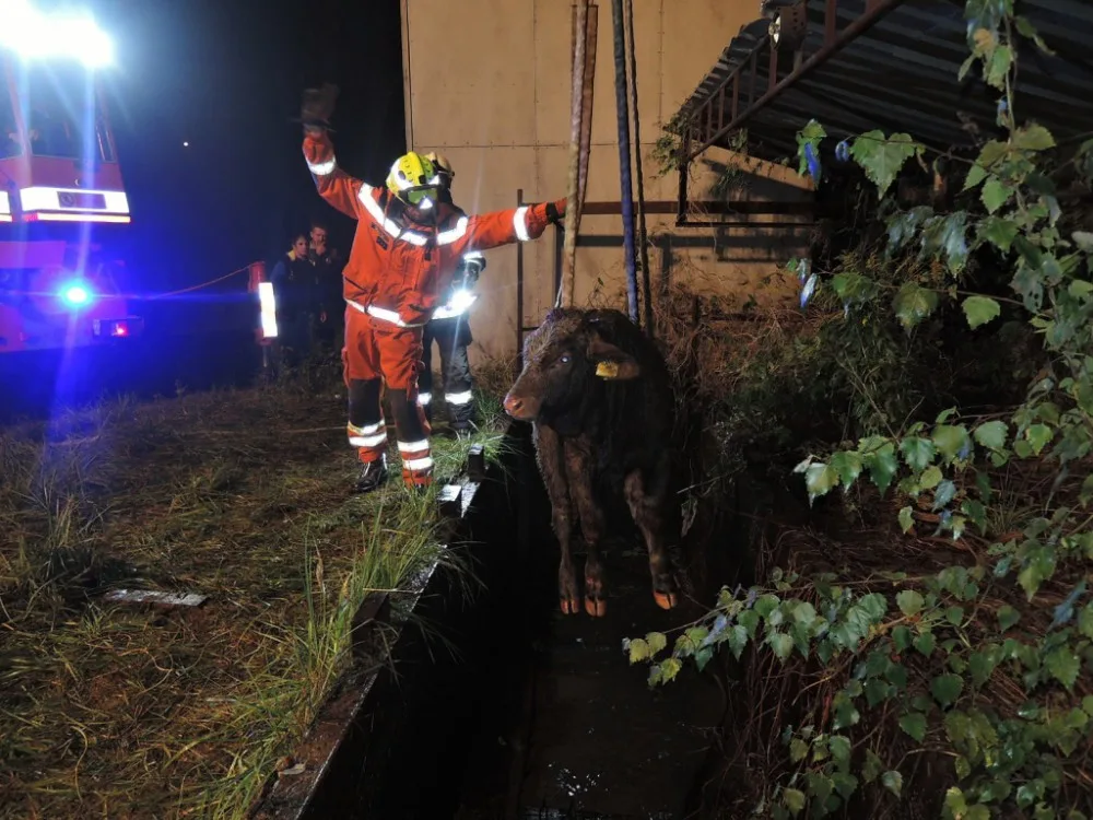 Telata spadla do nádrže s vodou, vytáhl je jeřáb. Foto: HZSLK