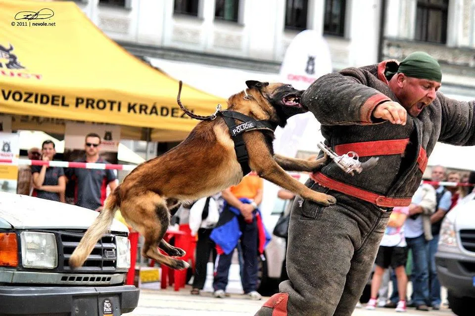 Cash. Foto: MP Liberec