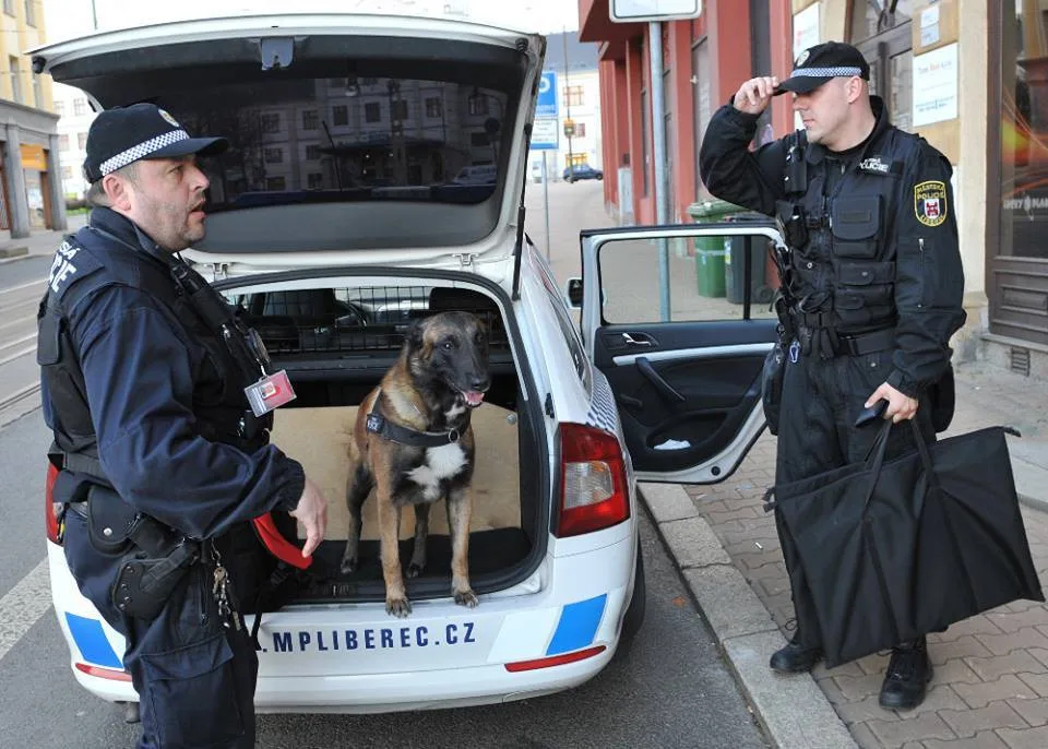Cash. Foto: MP Liberec