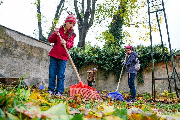 Dobrovolníci se pustili do úklidu zanedbaného pozemku v Komenského ulici