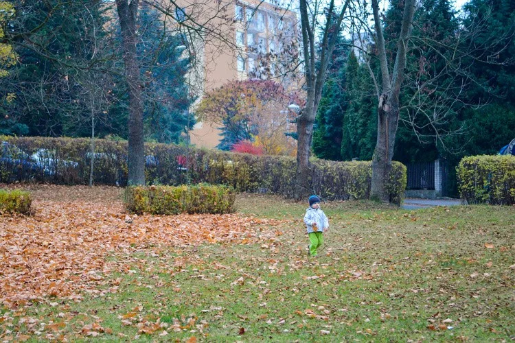 Liberec chystá obnovu dvou parků, zapojí se i veřejnost