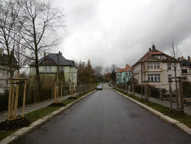 Poničené stromořadí za muzeem je opět kompletní. Vandala se odhalit nepodařilo