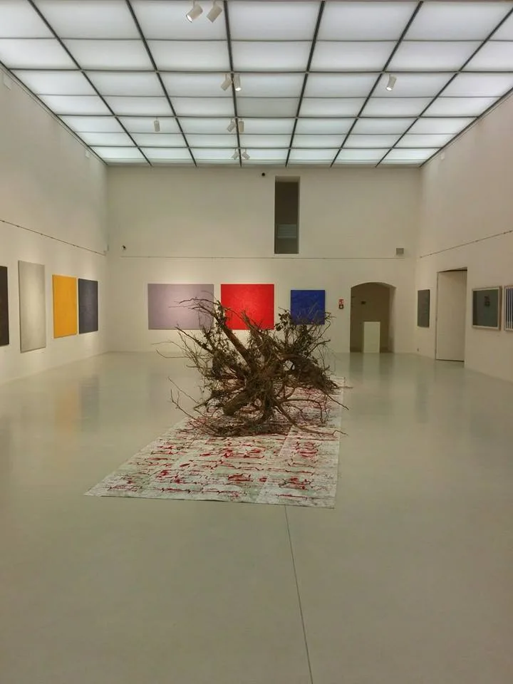 V galerii začala trojice výstav, na jedné jsou pařezy
