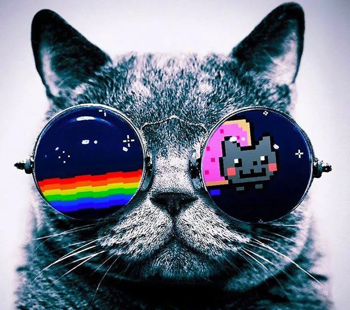 Ilustrační foto