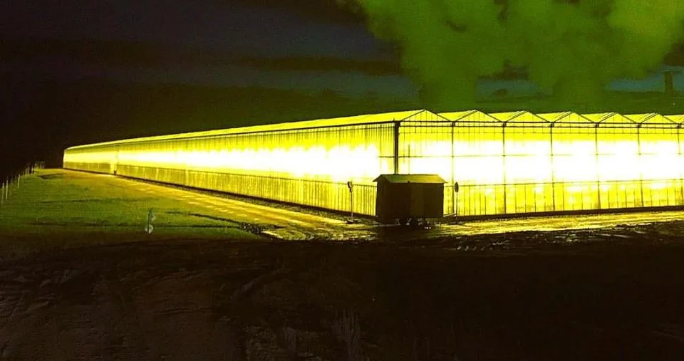 Polské skleníky v příhraničí září až 60 kilometrů daleko, díky světlu ubývá pátků i hmyzu