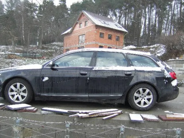 Poničená audina
