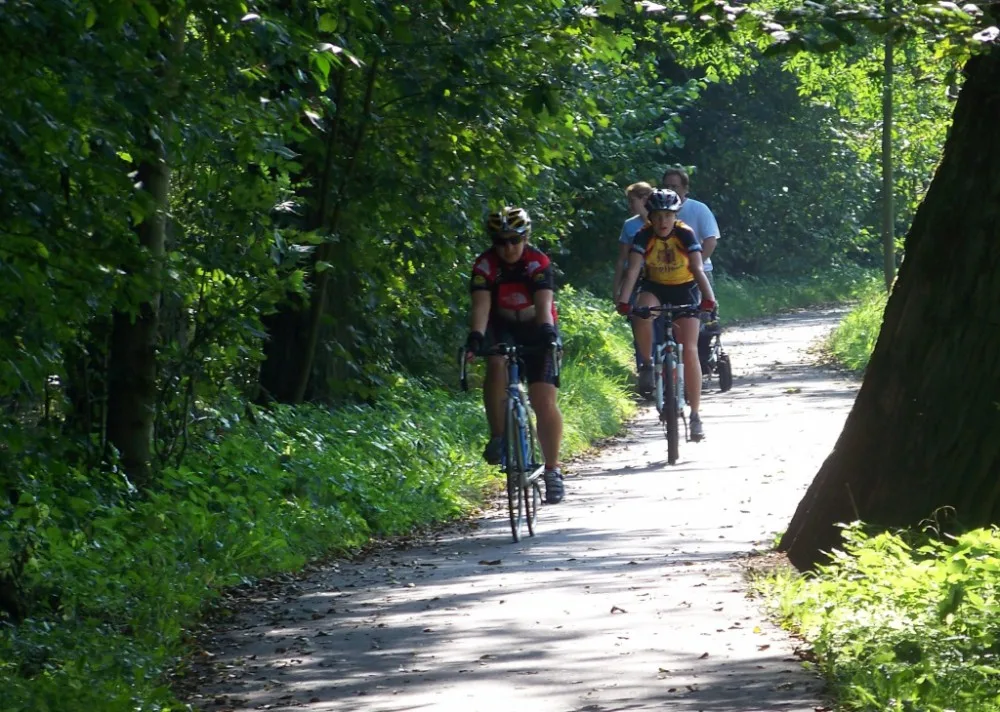 Greenway Jizera