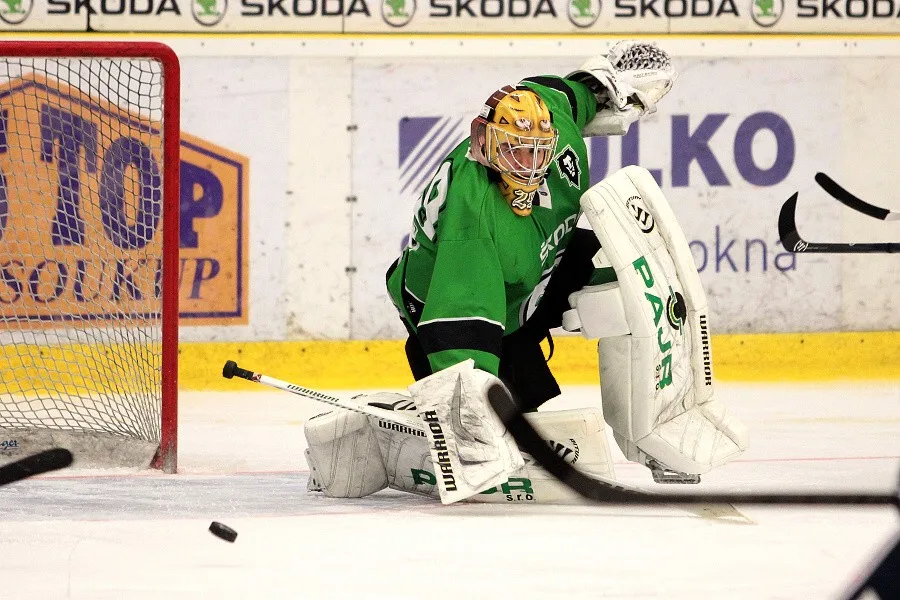 (c)Petr Zbranekwww.fotozbranek.cz