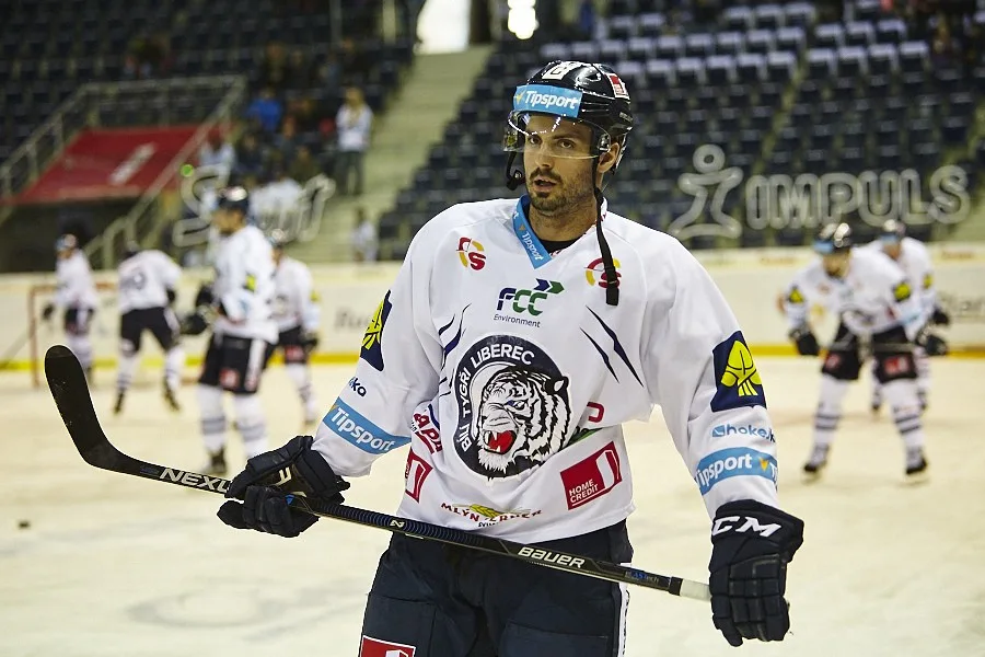 Michal Řepík