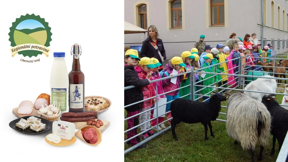 Ilustrační foto