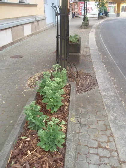 Cesta k Besedě prokoukla.