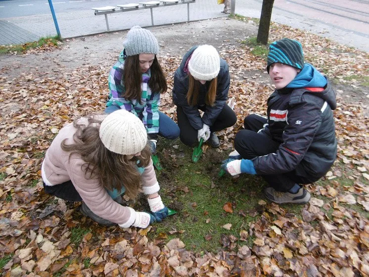 Podzimní výsadba v centru Liberce je u konce. Pomohli vězni i studenti