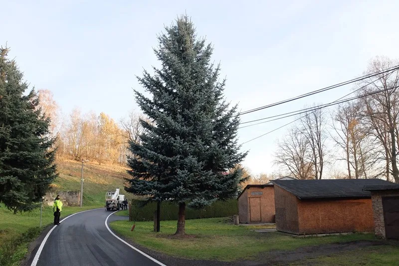 Vánoční strom mají už také ve Frýdlantu