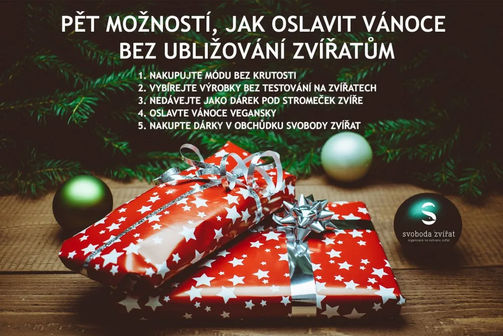 Ilustrační foto