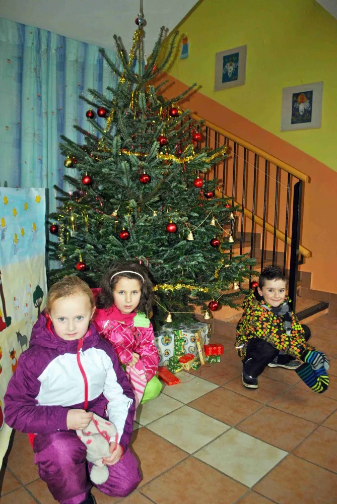 Stromek mají i v liberecké školce Stromovka