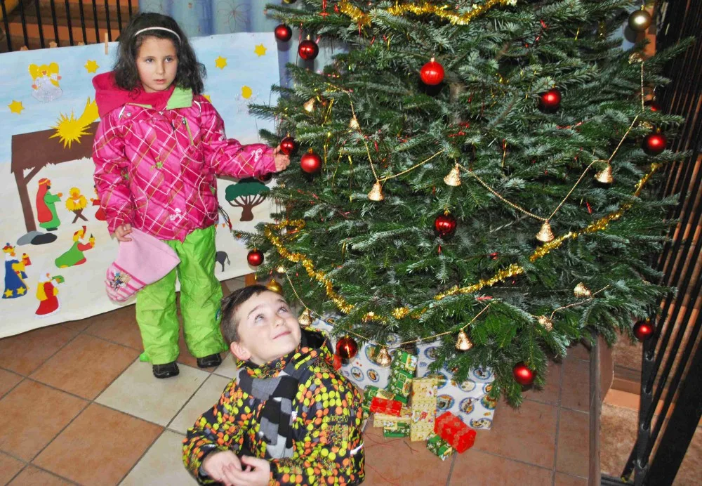 Stromek mají i v liberecké školce Stromovka