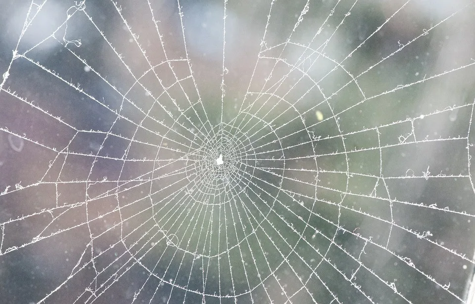 Ilustrační foto