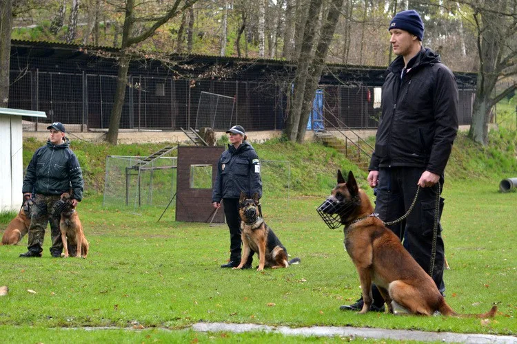 Velká cena Městské policie Liberec