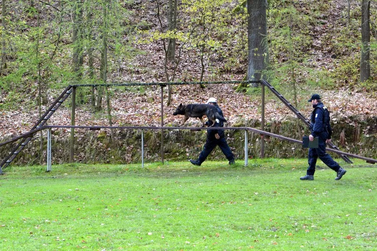 Velká cena Městské policie Liberec