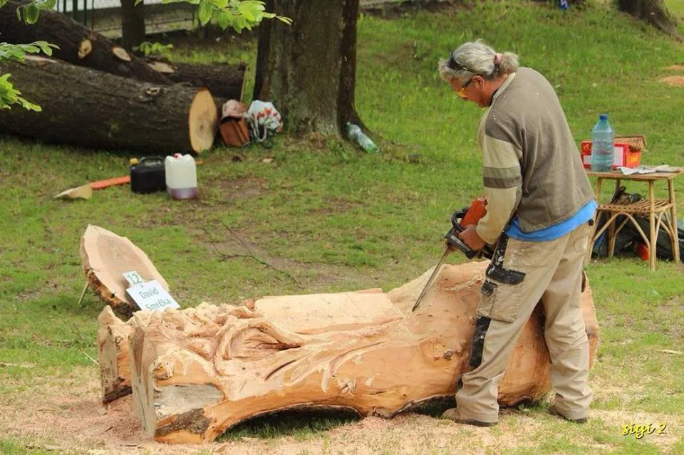 Na sympoziu v Desné řezbáři tvoří koňskou lavičku či anděla