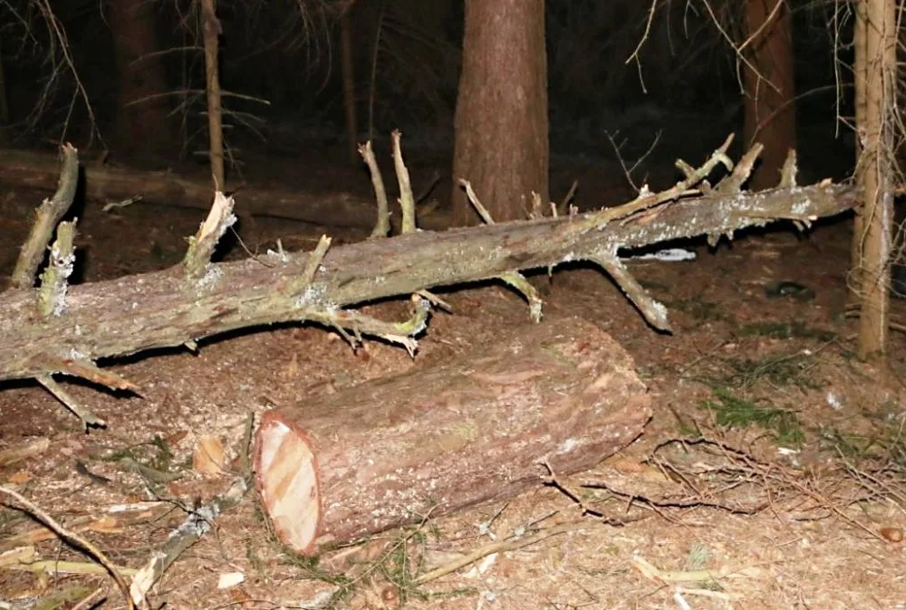 ilustrační foto