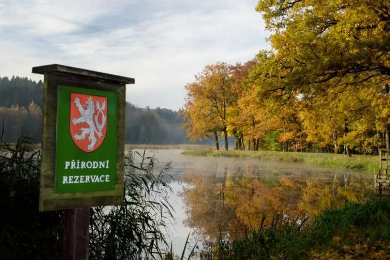 Meandry Smědé.