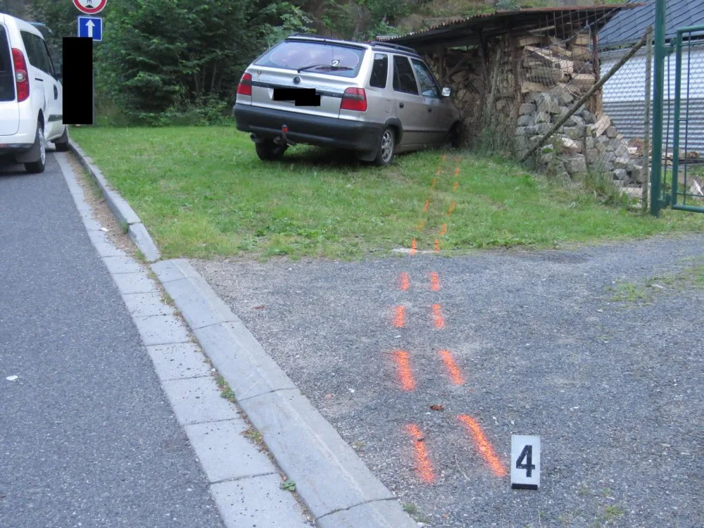 Řidič skončil v přístřešku na dřevo.