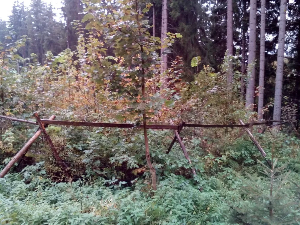 ilustrační foto.