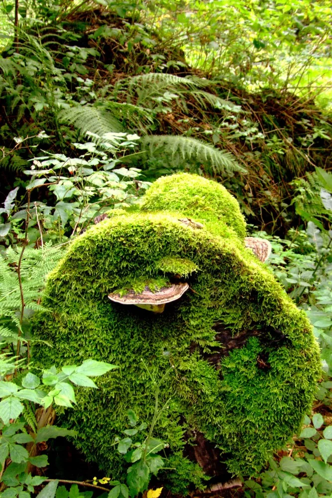 ilustrační foto.