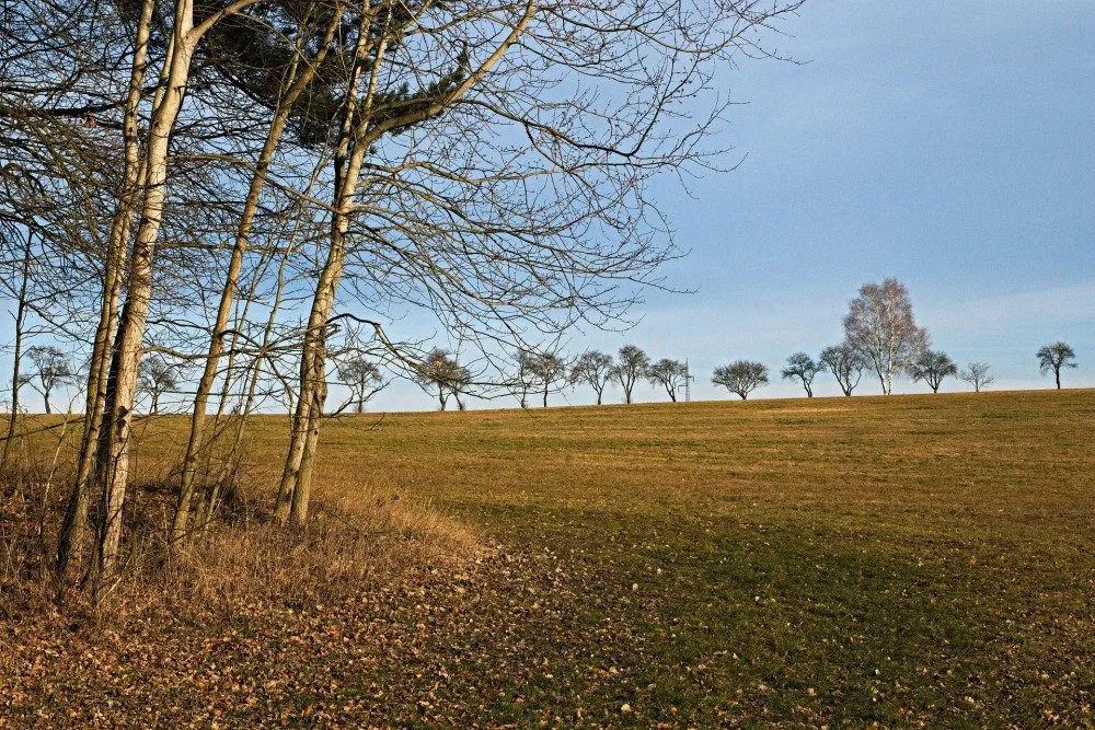 ilustrační foto.