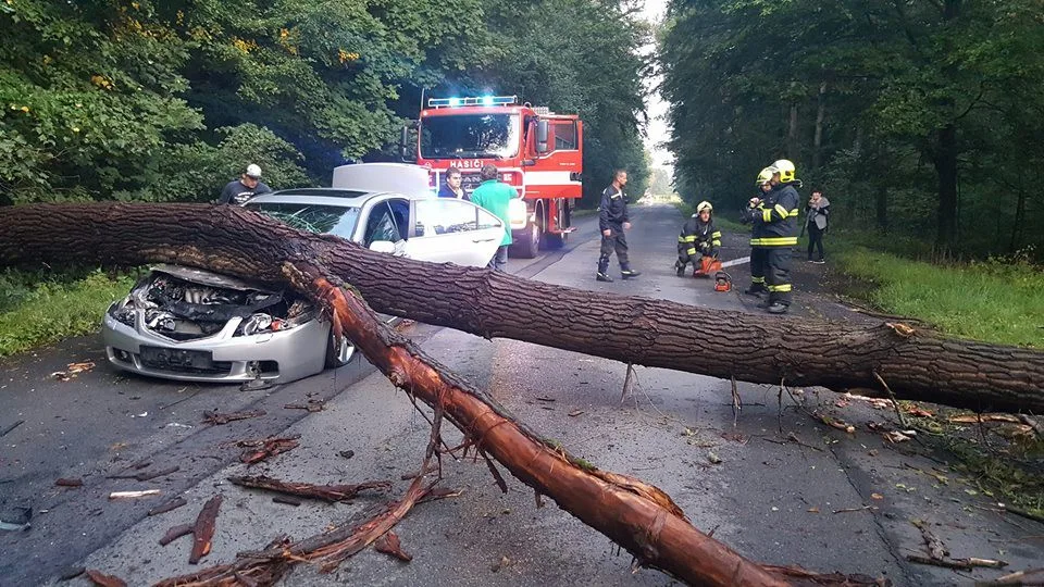 Na auto spadl strom.