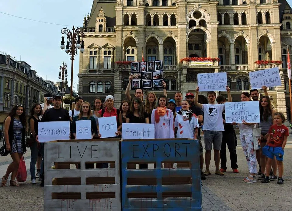 Akce se konala i loni.
