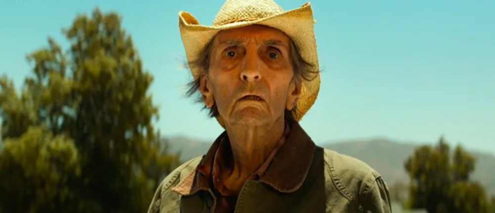 Harry Dean Stanton.