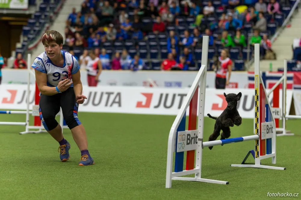 Home Credit Aréna patřila psům. Liberec hostil mistrovství světa v agility.