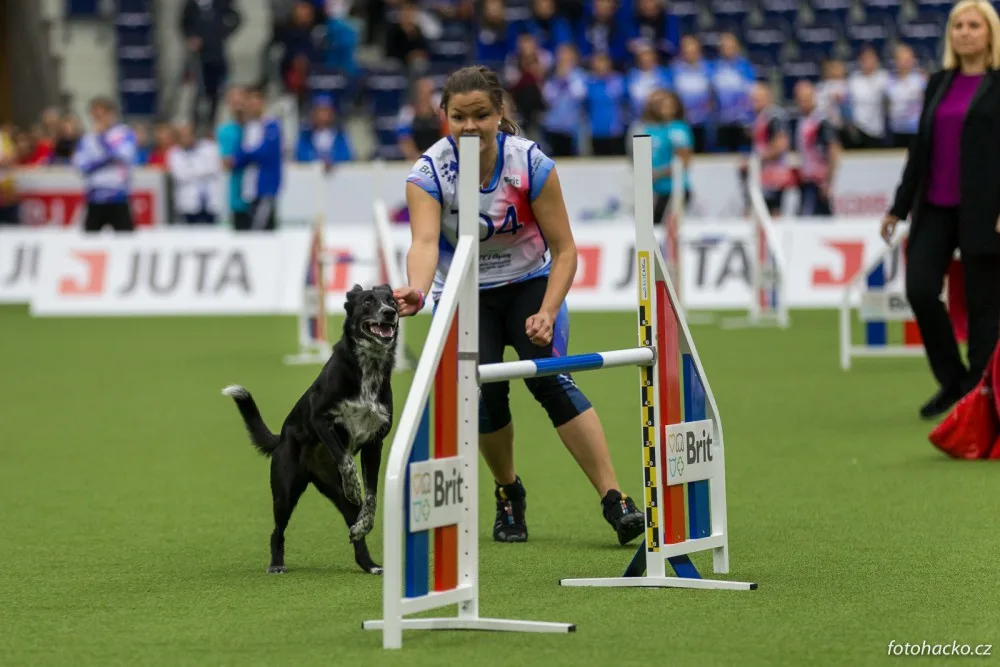 Home Credit Aréna patřila psům. Liberec hostil mistrovství světa v agility.