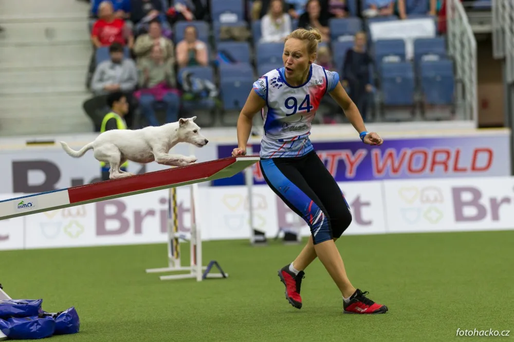 Home Credit Aréna patřila psům. Liberec hostil mistrovství světa v agility.