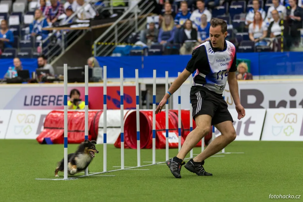 Home Credit Aréna patřila psům. Liberec hostil mistrovství světa v agility.