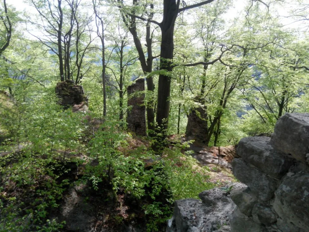 ilustrační foto.